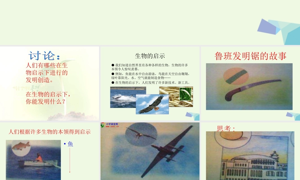 六年级科学上册 生物的启示课件3 青岛版-青岛版小学六年级上册自然科学课件