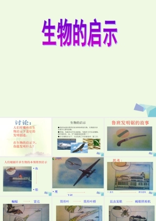 六年级科学上册 生物的启示课件3 青岛版-青岛版小学六年级上册自然科学课件