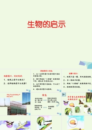 六年级科学上册 生物的启示课件4 青岛版-青岛版小学六年级上册自然科学课件