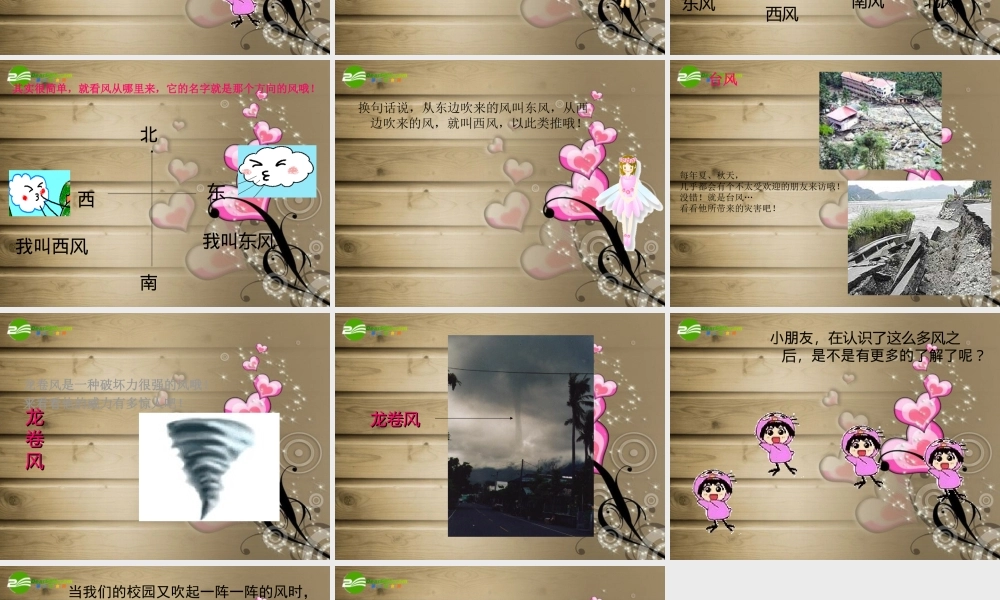 六年级科学下册 风从哪里来课件 青岛版（三年级起点）