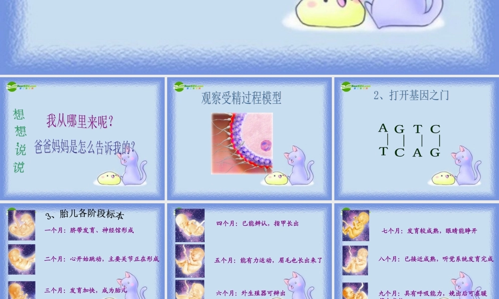 六年级科学下册 我从哪里来课件 青岛版（三年级起点）