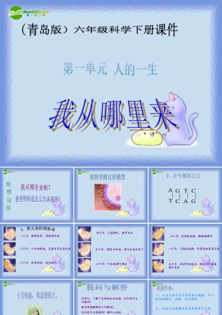 六年级科学下册 我从哪里来课件 青岛版（三年级起点）