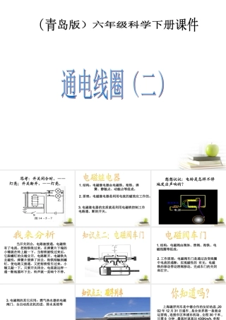 六年级科学下册 通电线圈（二）1课件 青岛版