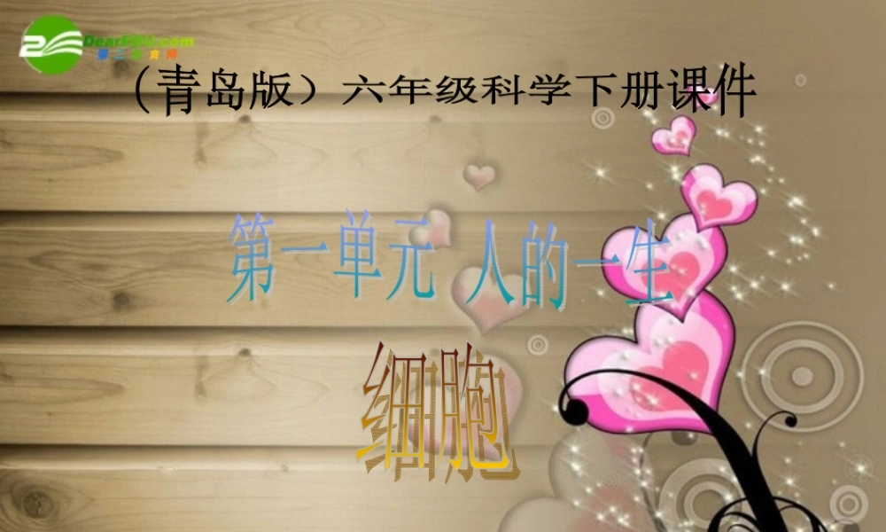 六年级科学下册 细胞课件 青岛版（三年级起点）