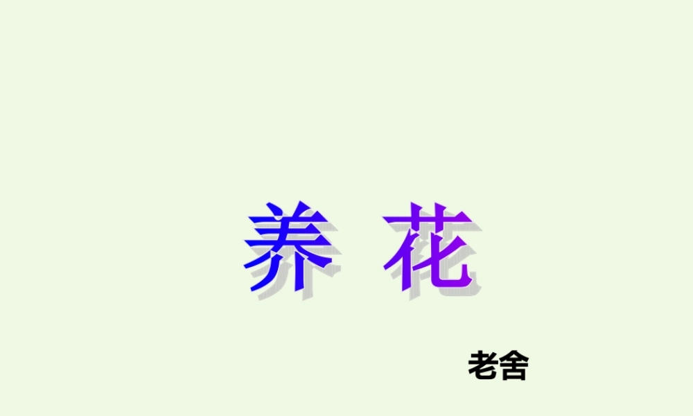 六年级语文上册 养花课件1 鄂教版-鄂教版小学六年级上册语文课件