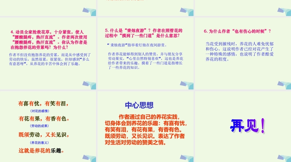 六年级语文上册 养花课件1 鄂教版-鄂教版小学六年级上册语文课件