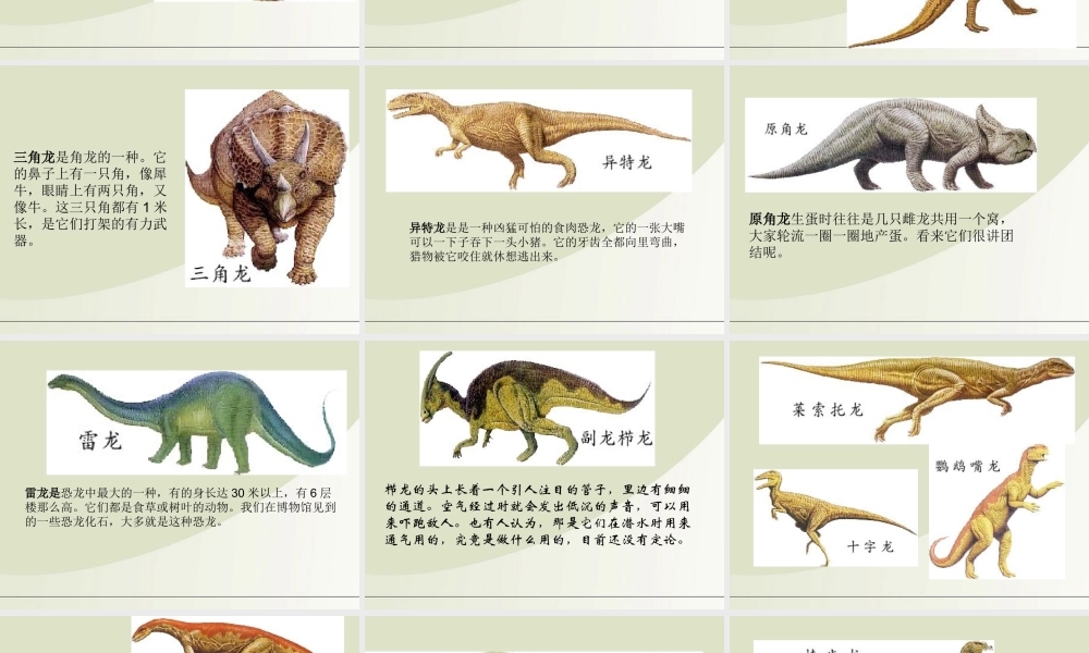 六年级科学下册 消失了的恐龙 1课件 苏教版