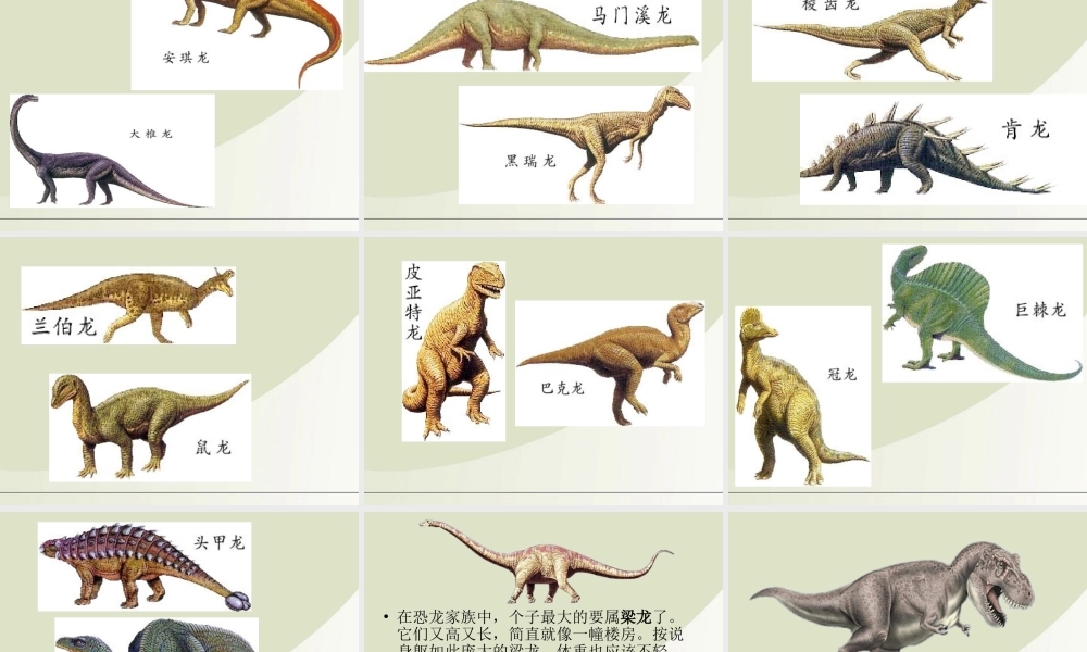 六年级科学下册 消失了的恐龙 1课件 苏教版