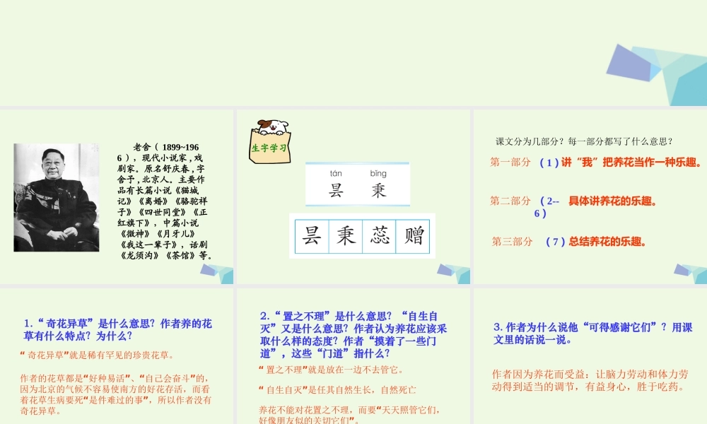 六年级语文上册 养花课件2 鄂教版-鄂教版小学六年级上册语文课件