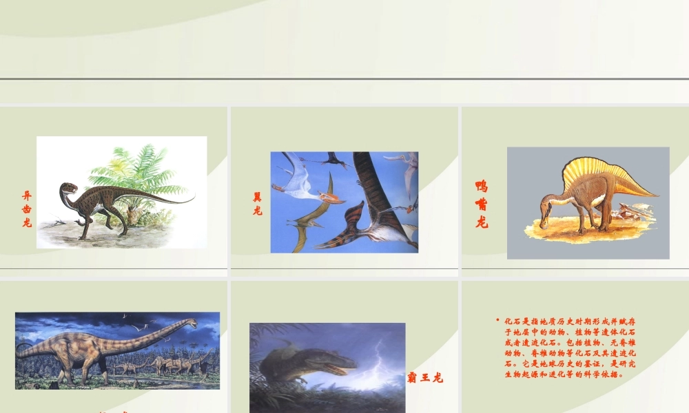 六年级科学下册 消失了的恐龙 2课件 苏教版