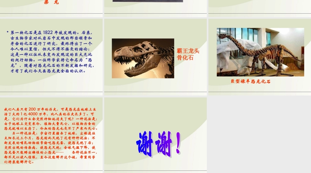 六年级科学下册 消失了的恐龙 2课件 苏教版