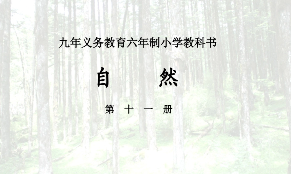 六年级科学上册 珍稀动植物课件1 青岛版-青岛版小学六年级上册自然科学课件