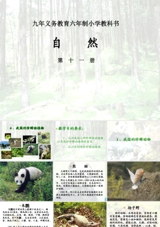 六年级科学上册 珍稀动植物课件1 青岛版-青岛版小学六年级上册自然科学课件