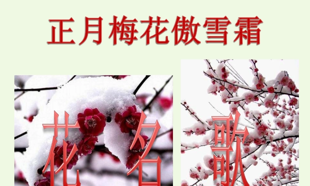 六年级语文上册 中国的花课件1 鄂教版-鄂教版小学六年级上册语文课件