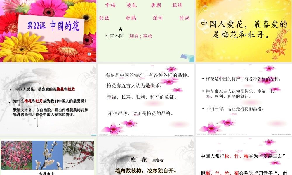 六年级语文上册 中国的花课件1 鄂教版-鄂教版小学六年级上册语文课件
