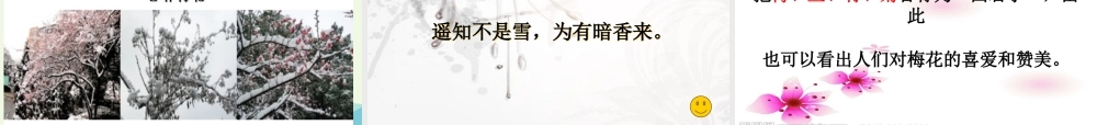 六年级语文上册 中国的花课件1 鄂教版-鄂教版小学六年级上册语文课件