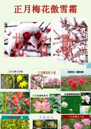 六年级语文上册 中国的花课件1 鄂教版-鄂教版小学六年级上册语文课件