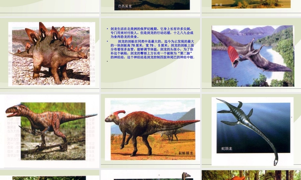 六年级科学下册 消失了的恐龙 3课件 苏教版