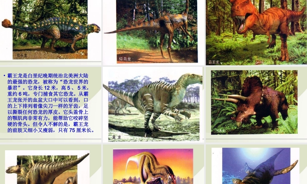 六年级科学下册 消失了的恐龙 3课件 苏教版