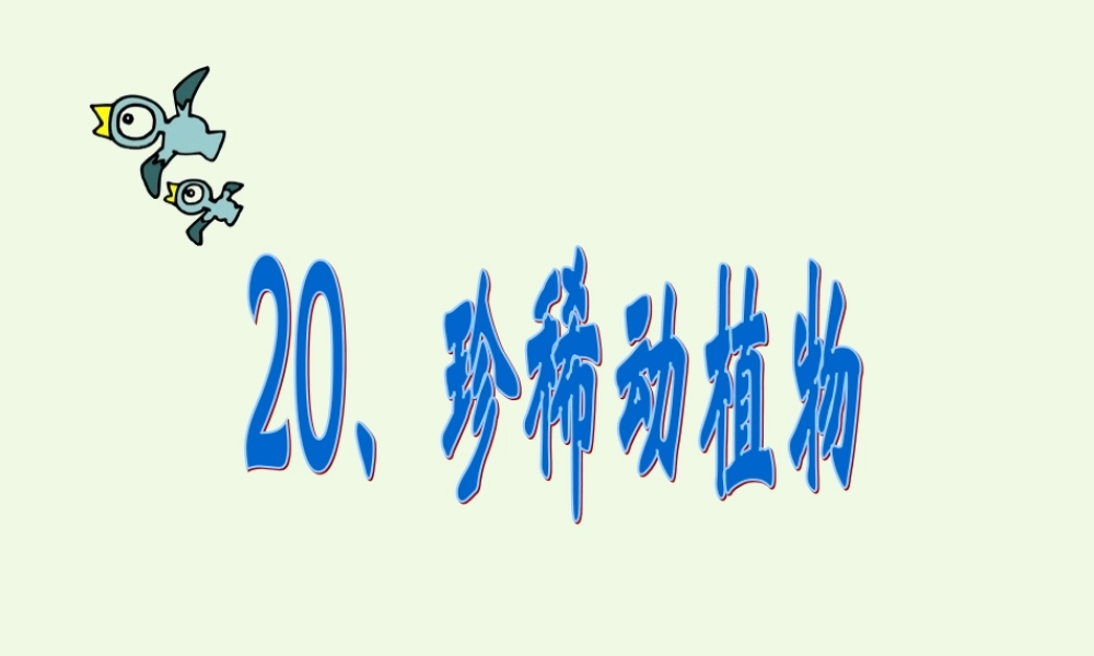 六年级科学上册 珍稀动植物课件2 青岛版-青岛版小学六年级上册自然科学课件