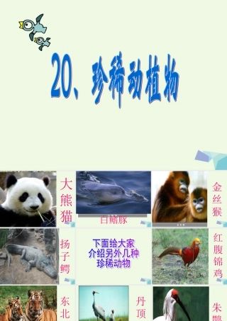 六年级科学上册 珍稀动植物课件2 青岛版-青岛版小学六年级上册自然科学课件