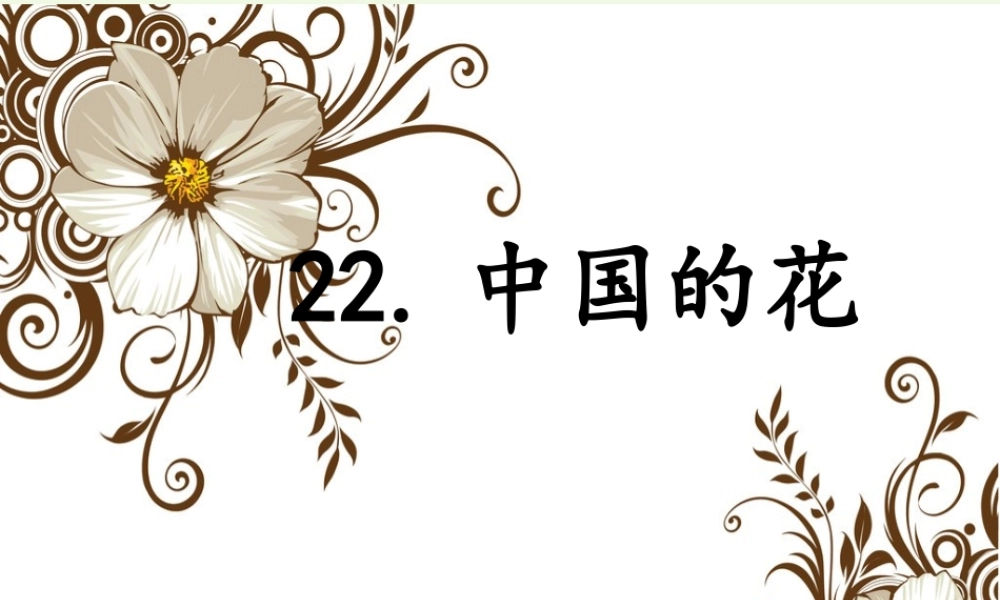 六年级语文上册 中国的花课件2 鄂教版-鄂教版小学六年级上册语文课件
