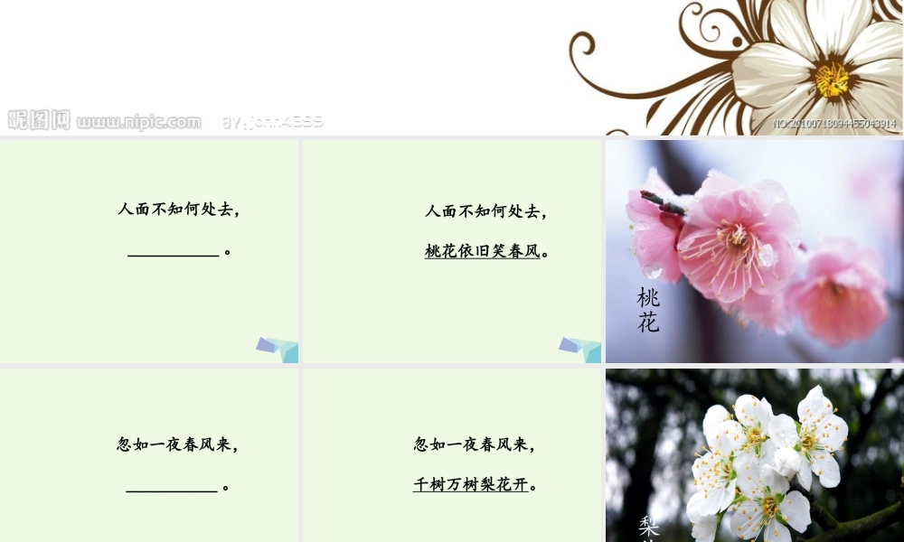 六年级语文上册 中国的花课件2 鄂教版-鄂教版小学六年级上册语文课件