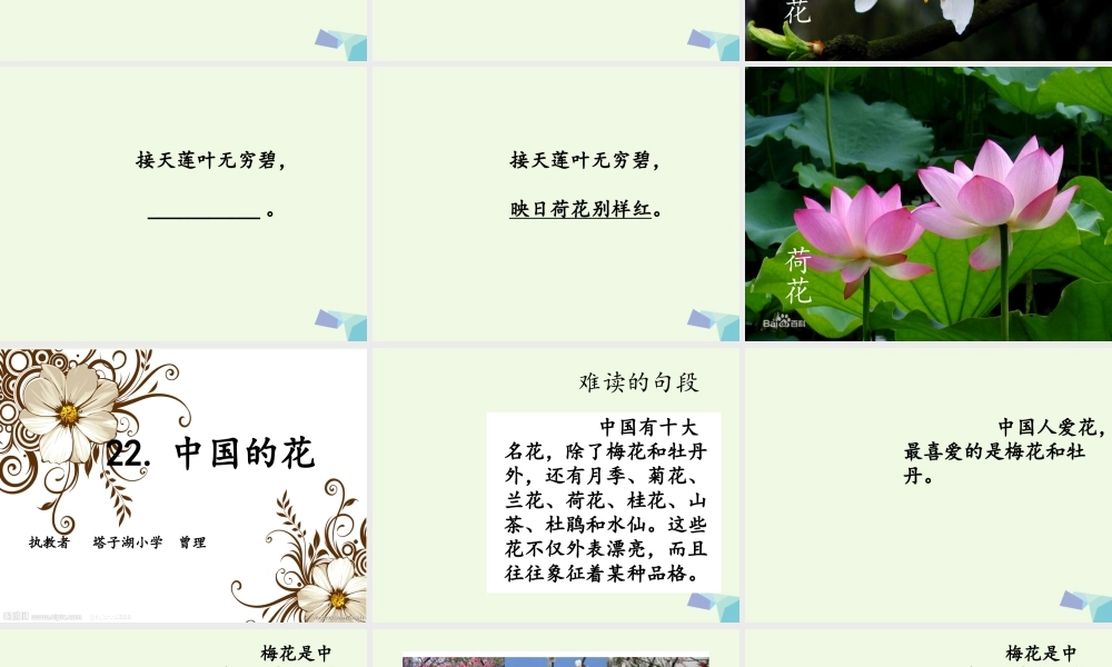 六年级语文上册 中国的花课件2 鄂教版-鄂教版小学六年级上册语文课件