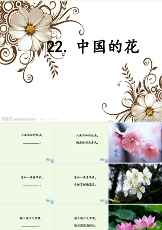 六年级语文上册 中国的花课件2 鄂教版-鄂教版小学六年级上册语文课件