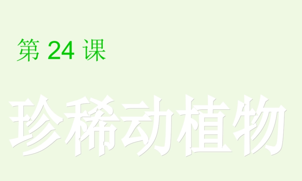 六年级科学上册 珍稀动植物课件3 青岛版-青岛版小学六年级上册自然科学课件