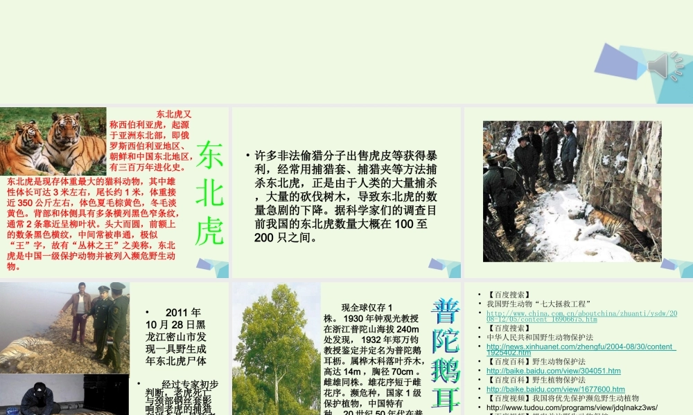 六年级科学上册 珍稀动植物课件3 青岛版-青岛版小学六年级上册自然科学课件