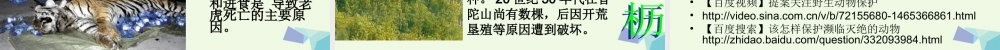 六年级科学上册 珍稀动植物课件3 青岛版-青岛版小学六年级上册自然科学课件