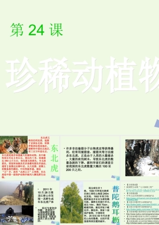 六年级科学上册 珍稀动植物课件3 青岛版-青岛版小学六年级上册自然科学课件