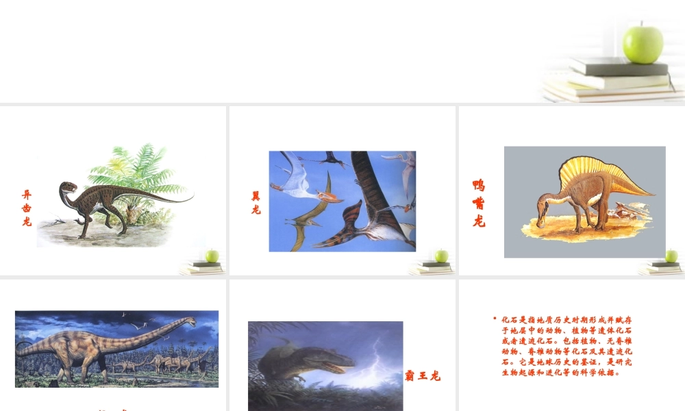 六年级科学下册 消失了的恐龙2课件 苏教版