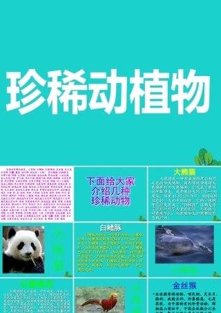 六年级科学上册 珍稀动植物课件4 青岛版-青岛版小学六年级上册自然科学课件