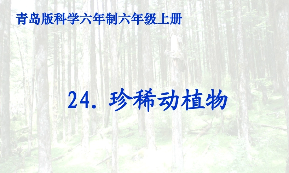 六年级科学上册 珍稀动植物课件5 青岛版-青岛版小学六年级上册自然科学课件