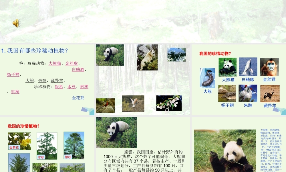 六年级科学上册 珍稀动植物课件5 青岛版-青岛版小学六年级上册自然科学课件