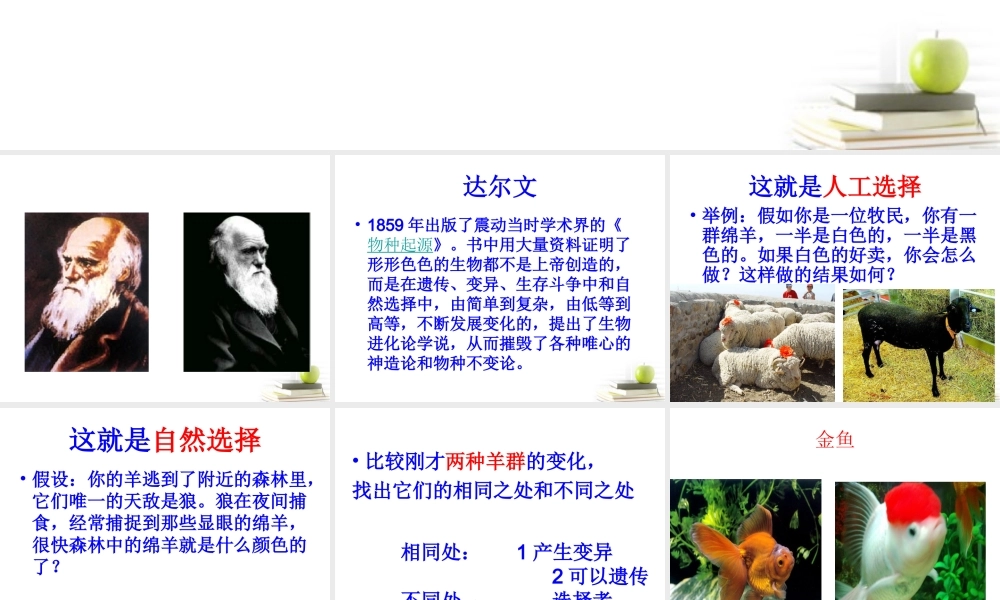 六年级科学下册 寻找达尔文的足迹1课件 青岛版