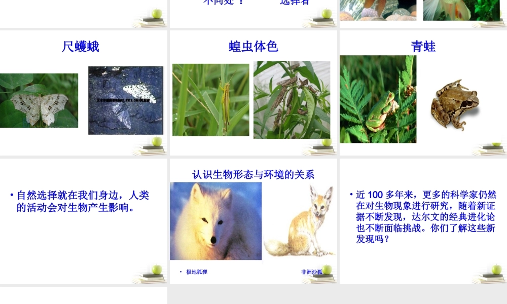 六年级科学下册 寻找达尔文的足迹1课件 青岛版