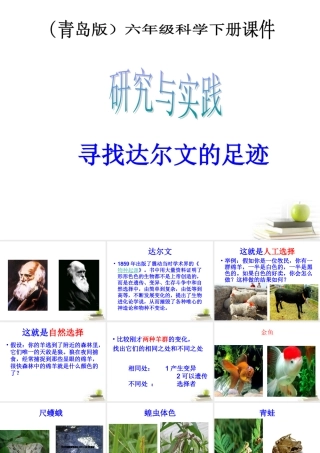 六年级科学下册 寻找达尔文的足迹1课件 青岛版