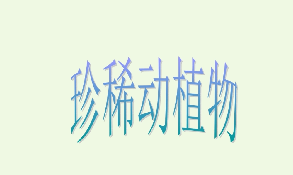 六年级科学上册 珍稀动植物课件6 青岛版-青岛版小学六年级上册自然科学课件