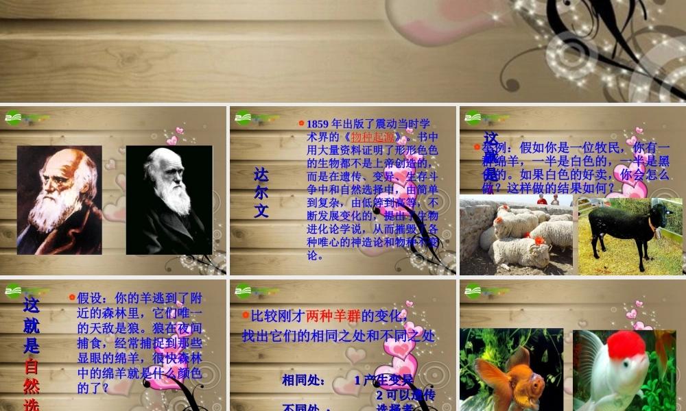 六年级科学下册 寻找达尔文的足迹课件 青岛版（三年级起点）