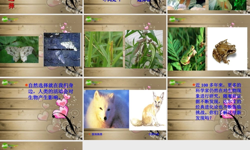 六年级科学下册 寻找达尔文的足迹课件 青岛版（三年级起点）