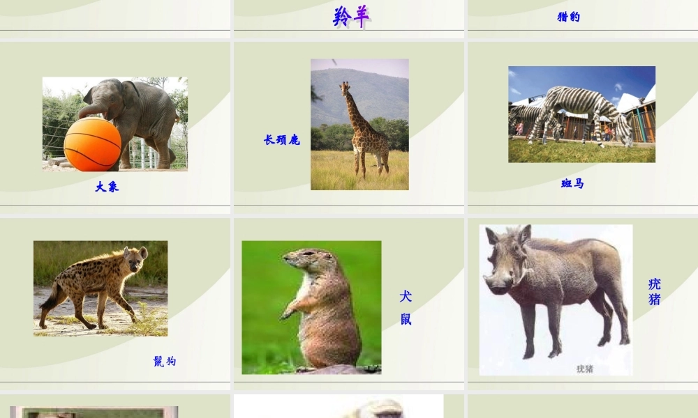 六年级科学下册 寻找生物的家园 1课件 苏教版