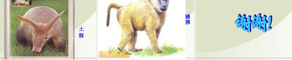 六年级科学下册 寻找生物的家园 1课件 苏教版