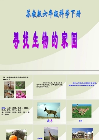 六年级科学下册 寻找生物的家园 1课件 苏教版