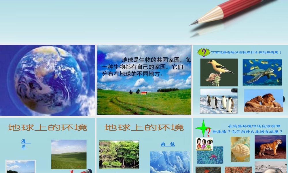 六年级科学下册 寻找生物的家园 2课件 苏教版