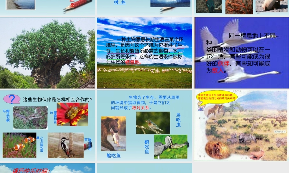 六年级科学下册 寻找生物的家园 2课件 苏教版