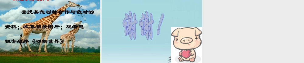 六年级科学下册 寻找生物的家园 2课件 苏教版