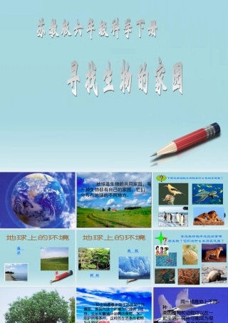 六年级科学下册 寻找生物的家园 2课件 苏教版